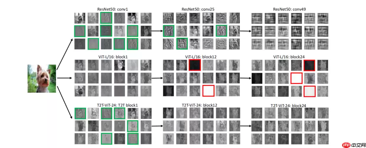 基于飞桨复现Tokens-to-Token ViT - 游乐网