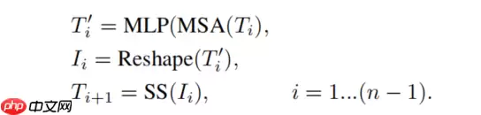 基于飞桨复现Tokens-to-Token ViT - 游乐网