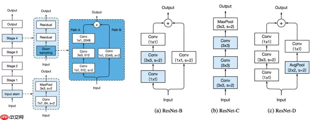 【官方】Paddle2.1实现视频理解优化模型 -- PP-TSN - 游乐网