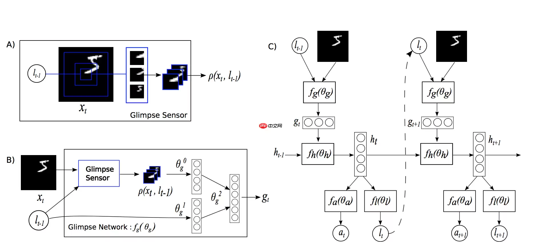 【论文复现-图像分类】基于PaddlePaddle实现RAM - 游乐网