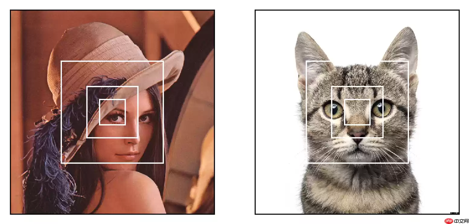 【论文复现-图像分类】基于PaddlePaddle实现RAM - 游乐网