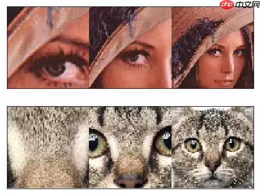 【论文复现-图像分类】基于PaddlePaddle实现RAM - 游乐网