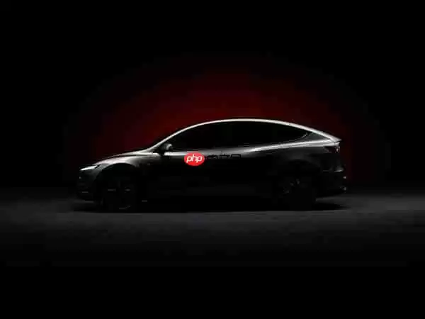 特斯拉Model Y L官宣 今年秋季正式发布 采用六座设计