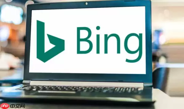 Bing浏览器无法打开网页怎么办 Bing浏览器网络连接问题解决方法