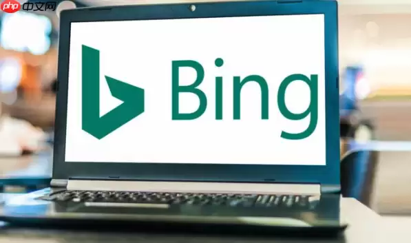 Bing浏览器网页通知烦人处理 Bing浏览器权限管理优化方案