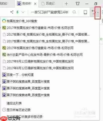 360浏览器怎么查看历史浏览记录 360浏览器历史记录查看方法