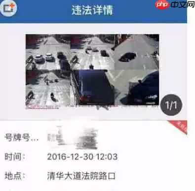12123交通违章查询怎么查具体信息 交管12123查违章方法介绍