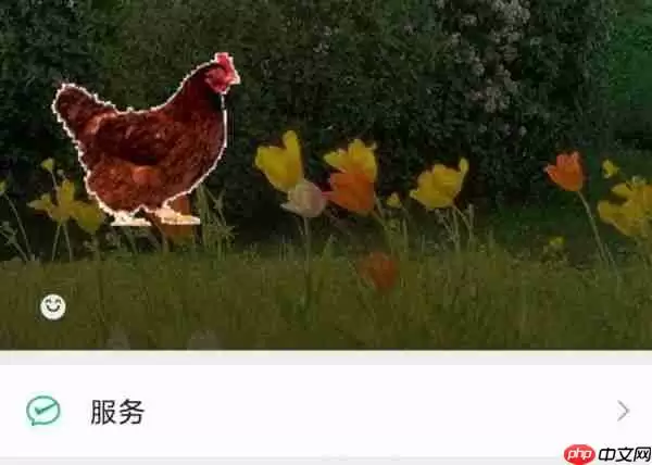 微信状态怎么养猪 微信状态养宠物怎么设置