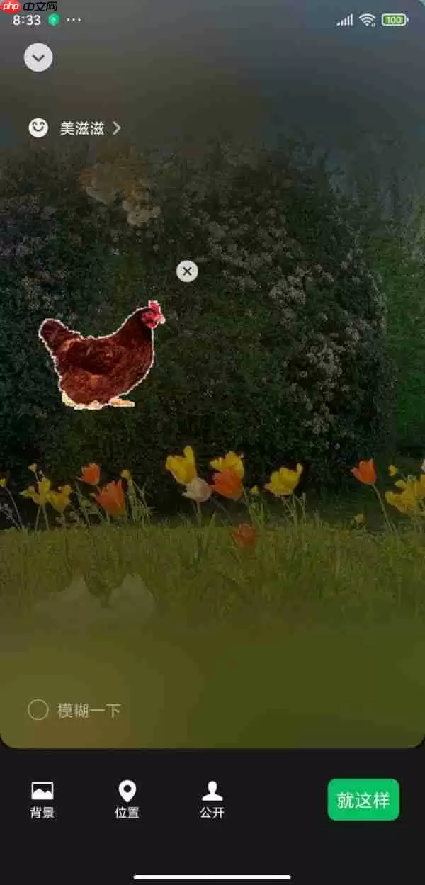 微信状态怎么养猪 微信状态养宠物怎么设置