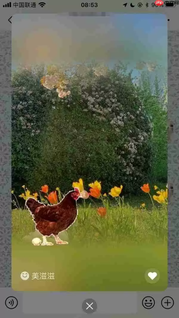 微信状态怎么养猪 微信状态养宠物怎么设置