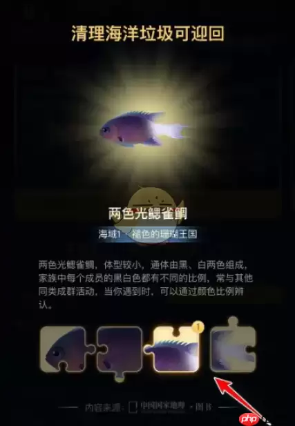 支付宝神奇海洋拼图怎么合成 神奇海洋拼图合成方法