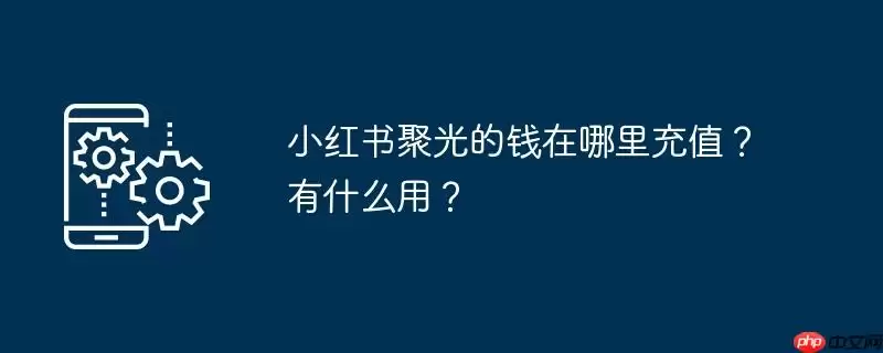 小红书聚光的钱在哪里充值？有什么用？