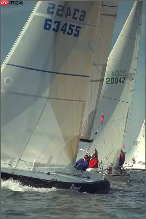 图像质量与相似度评估指标 SSIM 和 MS-SSIM 的 Paddle 实现 - 游乐网