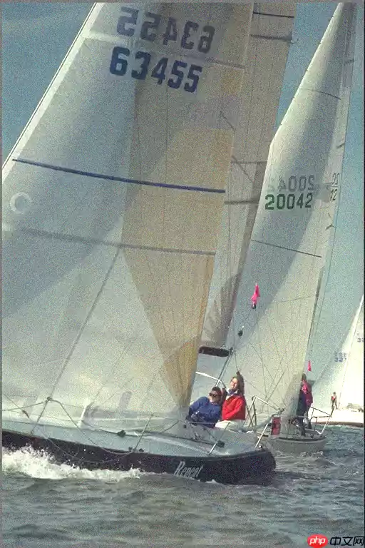 图像质量与相似度评估指标 SSIM 和 MS-SSIM 的 Paddle 实现 - 游乐网