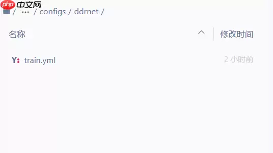 【CVPR2021】DDRNets:高效实时车道分割算法 - 游乐网