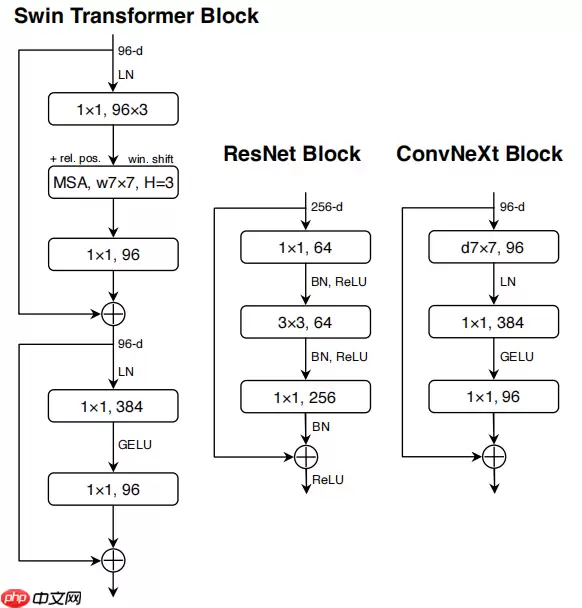 【悉读经典】ConvNext 在PaddleClas、Seg、Det中的应用 - 游乐网