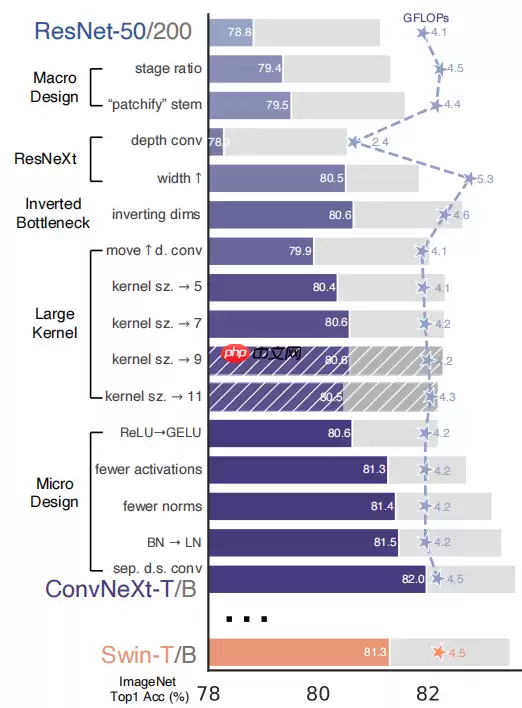 【悉读经典】ConvNext 在PaddleClas、Seg、Det中的应用 - 游乐网