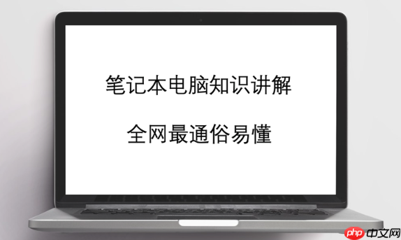 戴尔笔记本电脑SSD和机械硬盘速度对比及选购建议