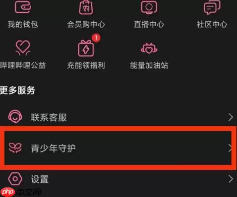 哔哩哔哩青少年守护在什么位置 具体介绍