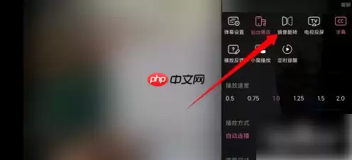 哔哩哔哩视频怎么镜面 哔哩哔哩开启镜像翻转教程