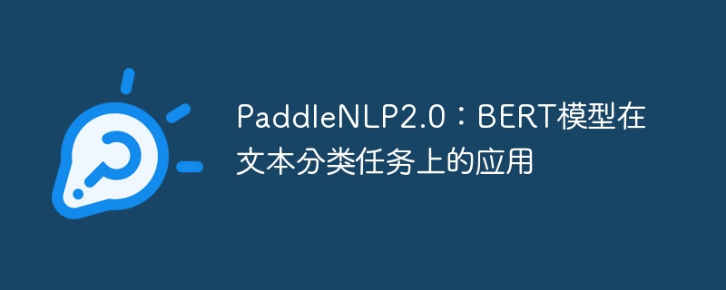 paddlenlp2.0：bert模型在文本分类任务上的应用 - 游乐网