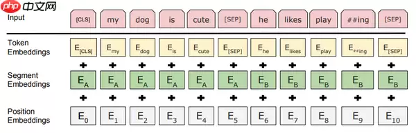 PaddleNLP2.0：BERT模型在文本分类任务上的应用 - 游乐网