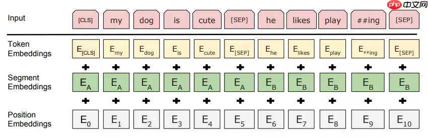 PaddleNLP2.0:BERT模型在文本分类任务上的应用 - 游乐网