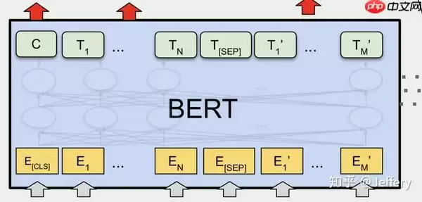PaddleNLP2.0:BERT模型在文本分类任务上的应用 - 游乐网