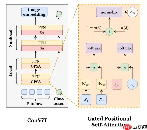 ConViT：引入归纳偏置的ViT - 游乐网