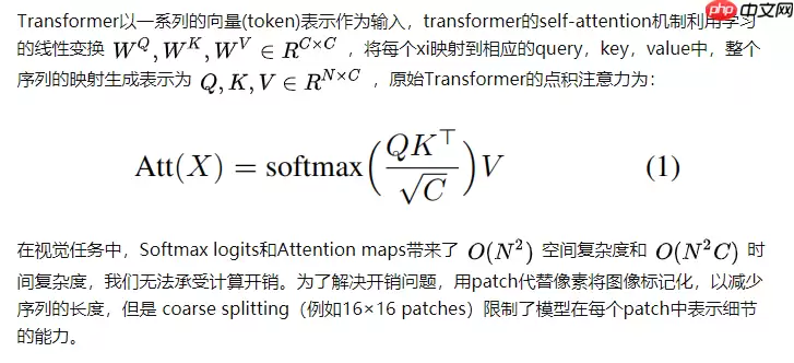 Paddle2.0：浅析并实现 CoaT 模型 - 游乐网