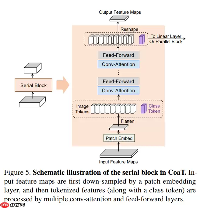 Paddle2.0：浅析并实现 CoaT 模型 - 游乐网