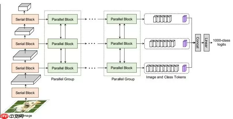 Paddle2.0：浅析并实现 CoaT 模型 - 游乐网