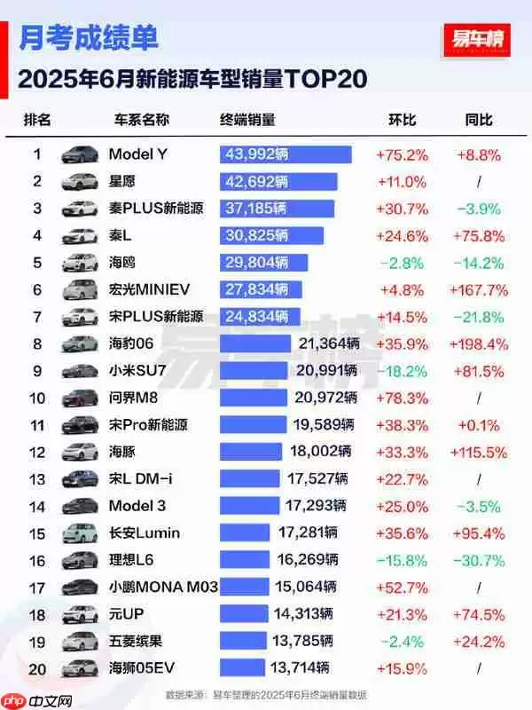 2025上半年新能源车型销量TOP20：Model Y丢掉冠军！