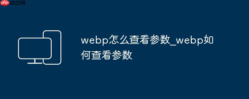 webp怎么查看参数_webp如何查看参数