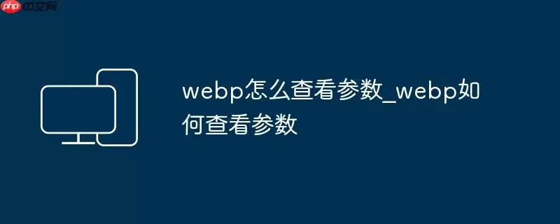 webp怎么查看参数_webp如何查看参数