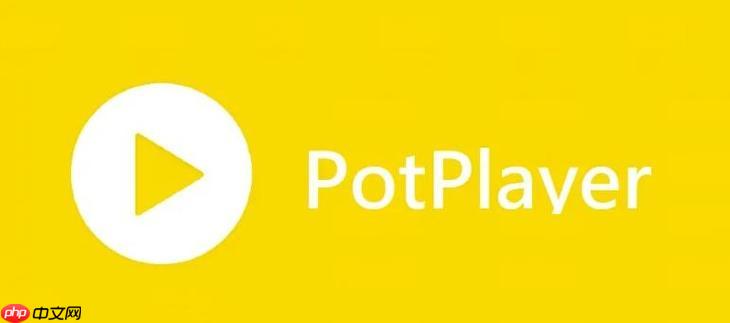 PotPlayer怎么添加滤镜 PotPlayer视频增强效果设置