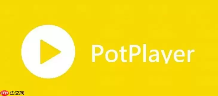 PotPlayer怎么添加滤镜 PotPlayer视频增强效果设置