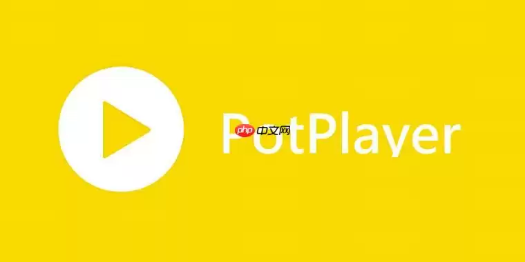 PotPlayer如何循环播放 PotPlayer单曲循环设置方法