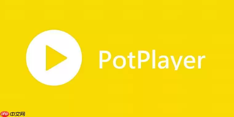 PotPlayer如何调整播放速度 PotPlayer倍速播放设置方法