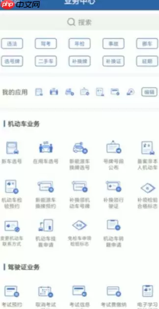 交通安全综合服务管理平台如何查询考试成绩 交管12123如何查询考试成绩