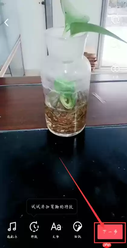 极速抖音怎么拍视频教程 极速抖音拍视频教程