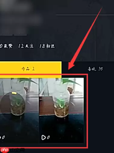 极速抖音怎么拍视频教程 极速抖音拍视频教程