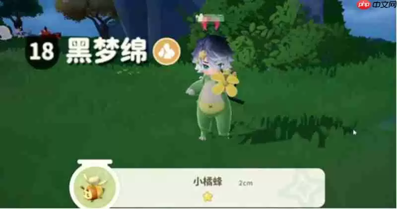 米姆米姆哈小橘蜂怎么抓 小橘蜂捕捉地点与方法