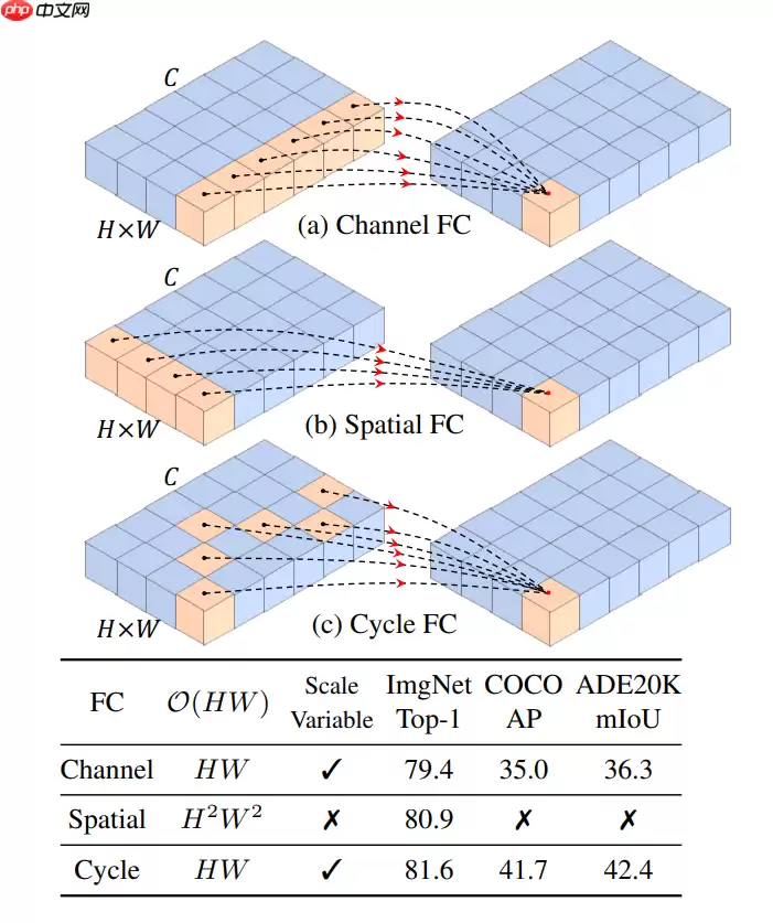 浅析并实现 CycleMLP，一种用于密集预测的类 MLP 模型 - 游乐网