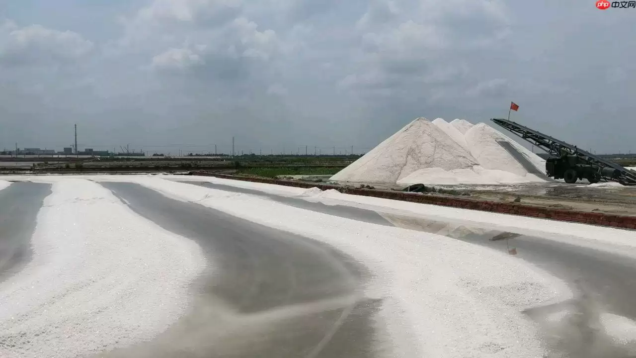 【飞桨领航团AI达人创造营】基于EdgeBoard部署的圈围晒盐的智能辅助系统 - 游乐网