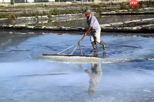 【飞桨领航团AI达人创造营】基于EdgeBoard部署的圈围晒盐的智能辅助系统 - 游乐网