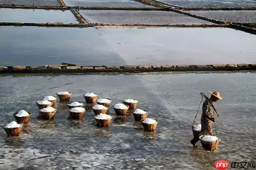 【飞桨领航团AI达人创造营】基于EdgeBoard部署的圈围晒盐的智能辅助系统 - 游乐网