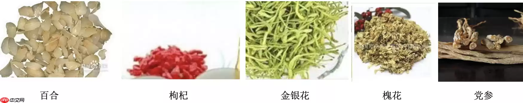 基于图像分类网络VGG实现中草药识别 - 游乐网