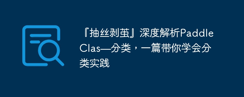 『抽丝剥茧』深度解析paddleclas—分类，一篇带你学会分类实践 - 游乐网