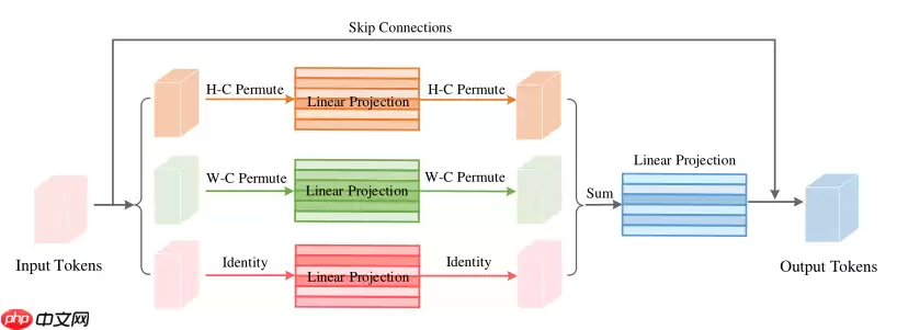 ViP：类MLP架构又一狂欢 - 游乐网